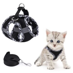 Adjustable Reflective Dog & Cat Harness and Leash Set